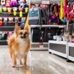 Kutya boltban válogat, kereskedelmi jog