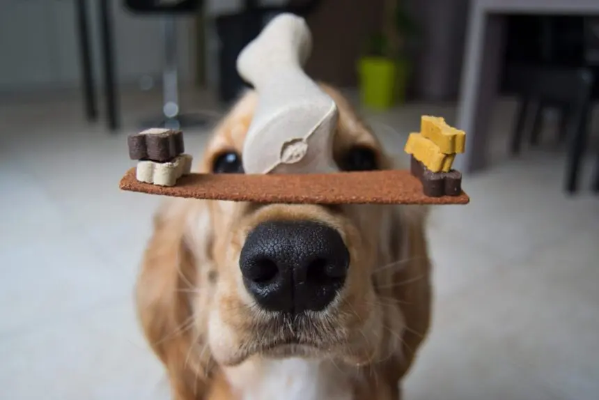 Precizitás, szerződés