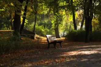 Őszi park paddal, kölcsönszerződés
