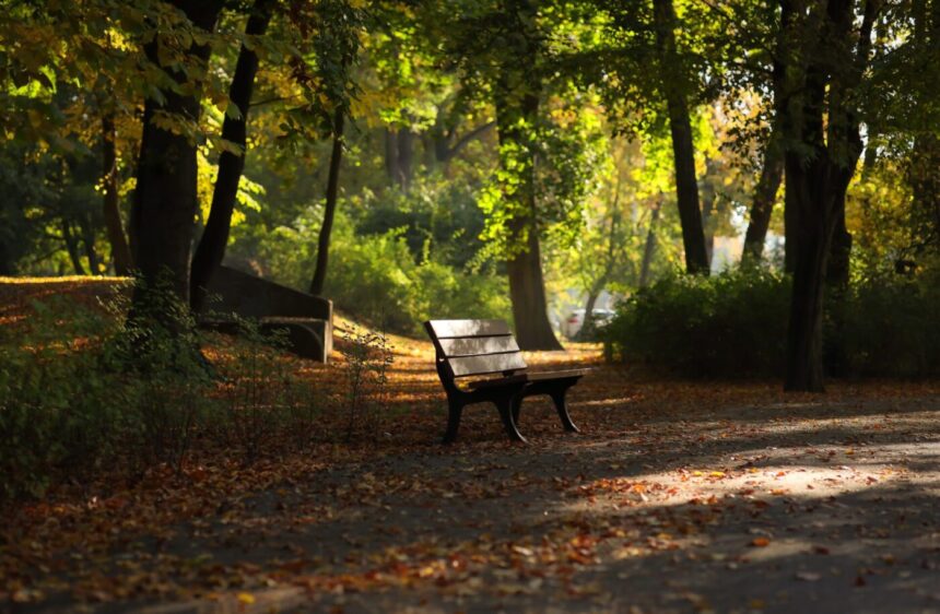 Őszi park paddal, kölcsönszerződés