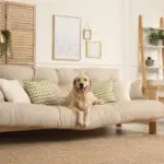 Kutya a kanapén - tulajdoni lap