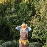 Zártkerti ingatlanok művelés alóli kivonása: új szabályozás kritikai elemzése